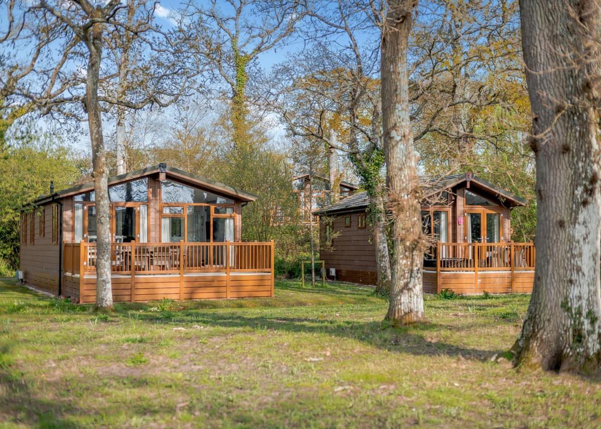 Wareham Forest Lodge Retreat Lytchett Minster Dış mekan fotoğraf